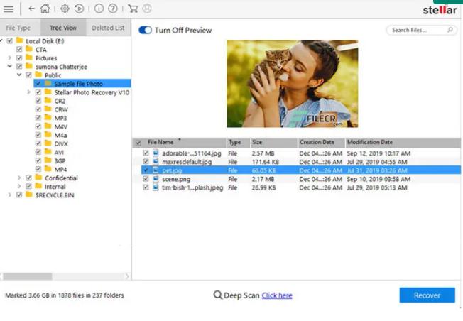  Stellar Photo Recovery 11.8.0.4 Multilingual