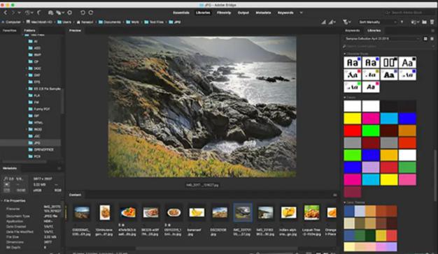  Adobe Bridge 2024 (v14.1.1.274) Multilingual