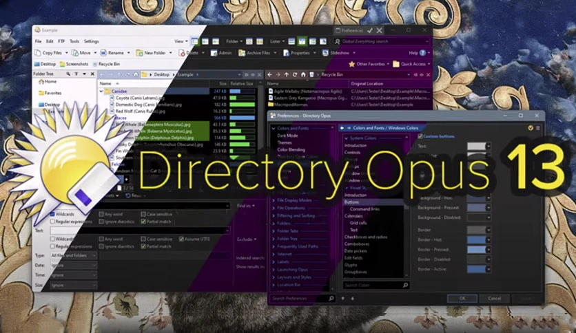 68304d1d4e850-directory-opus-pro-screenshot1-3.webp