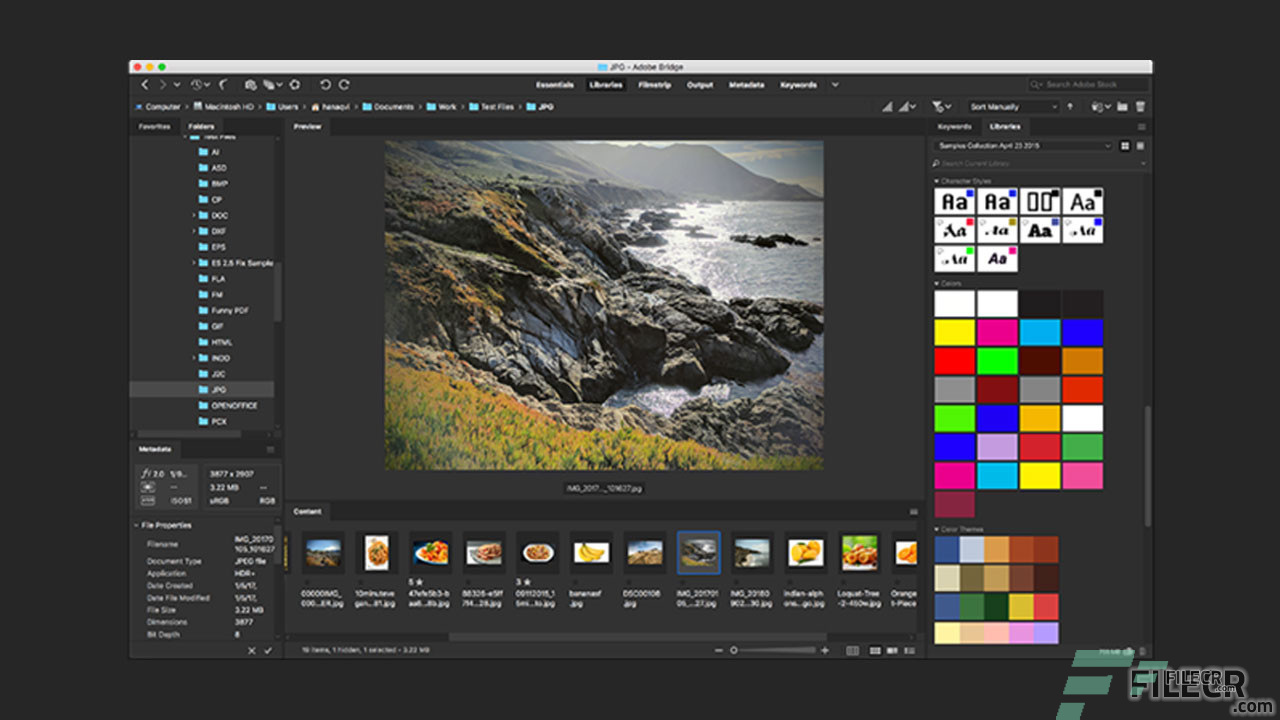 Scr2_Adobe-Bridge-CC_Free-download.jpg